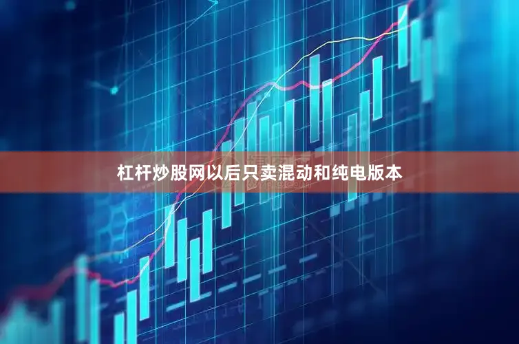 杠杆炒股网以后只卖混动和纯电版本