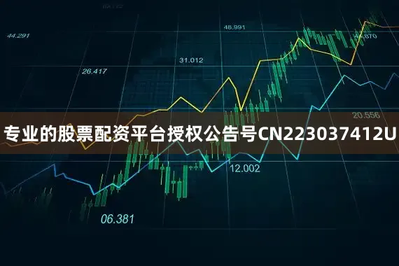 专业的股票配资平台授权公告号CN223037412U