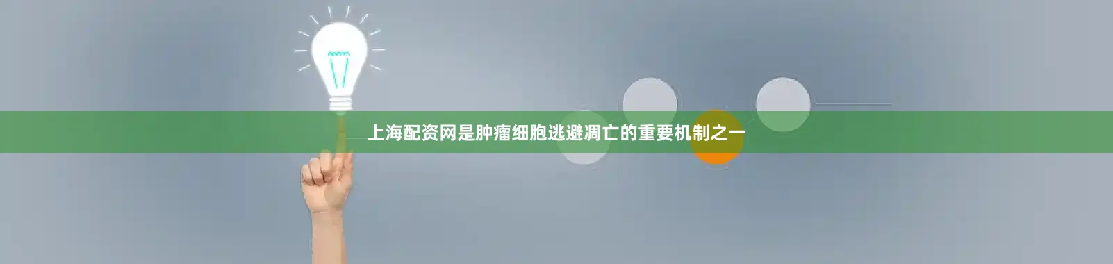 上海配资网是肿瘤细胞逃避凋亡的重要机制之一