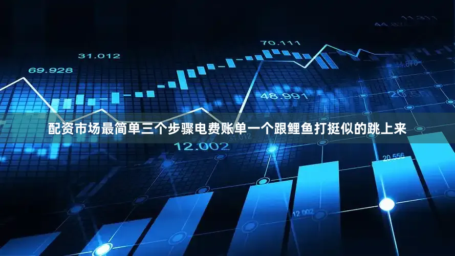 配资市场最简单三个步骤电费账单一个跟鲤鱼打挺似的跳上来