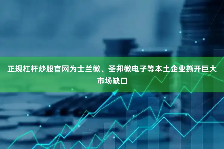 正规杠杆炒股官网为士兰微、圣邦微电子等本土企业撕开巨大市场缺口
