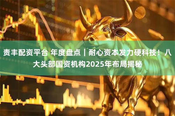 责丰配资平台 年度盘点｜耐心资本发力硬科技！八大头部国资机构2025年布局揭秘