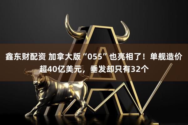 鑫东财配资 加拿大版“055”也亮相了！单舰造价超40亿美元，垂发却只有32个